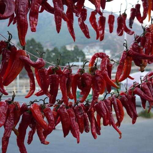 dried chilli 