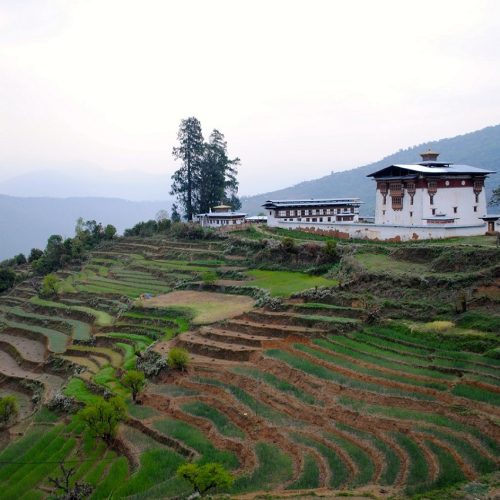 punakha chorten